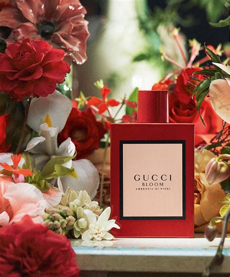 gucci bloom ambrosia di flori